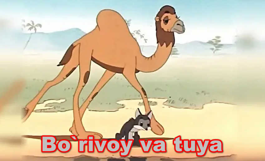 Bo`rivoy va tuya – Multfilm O`zbek Tilida