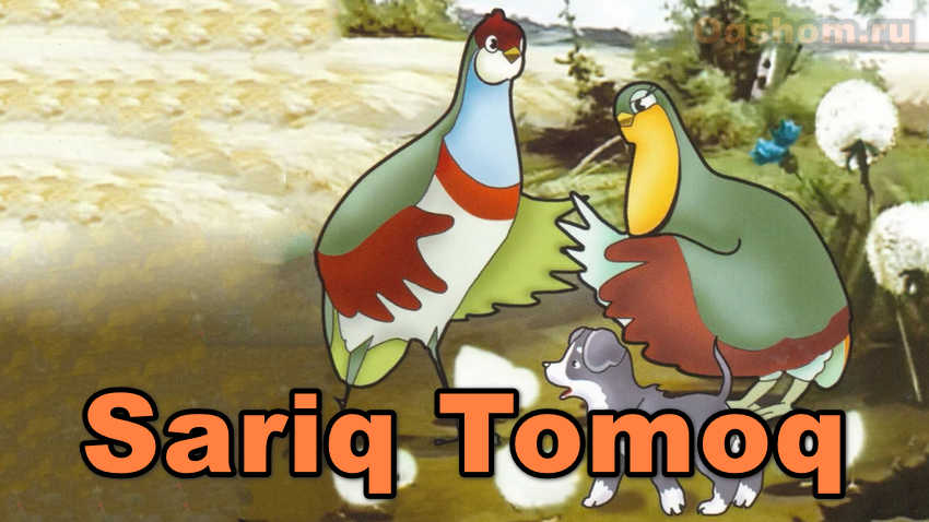 Sariq tomoq – Multfilm O`zbek tilida